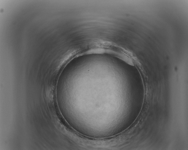 X0000062890010200601171525