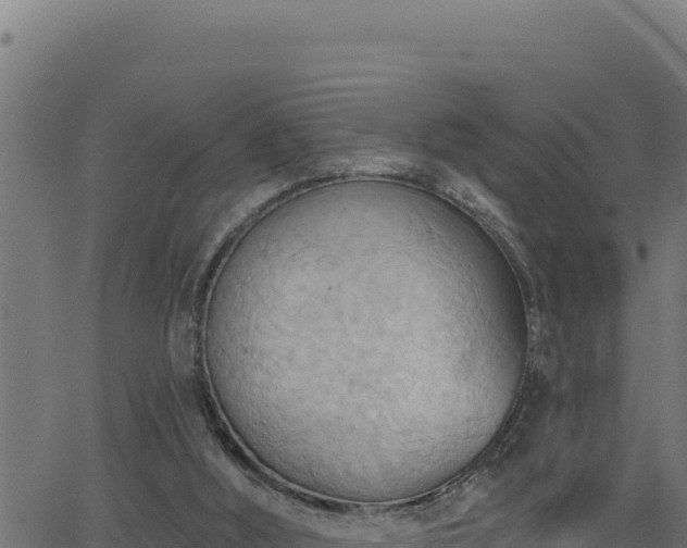 X0000062890012200601171525