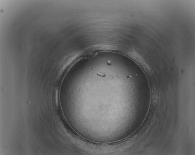 X0000062890014200601171525