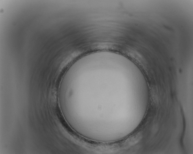 X0000062890016200601171525