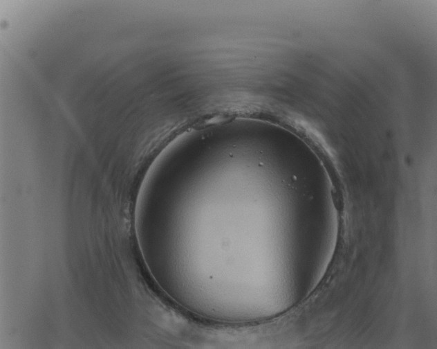 X0000062890017200601171525