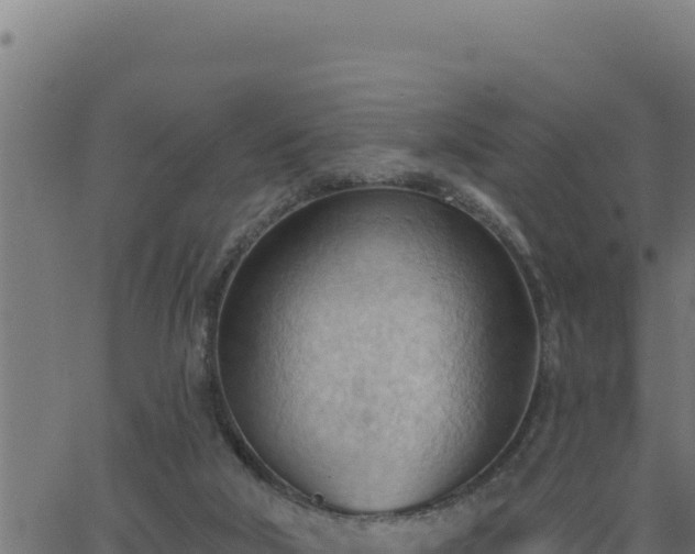 X0000062890018200601171525