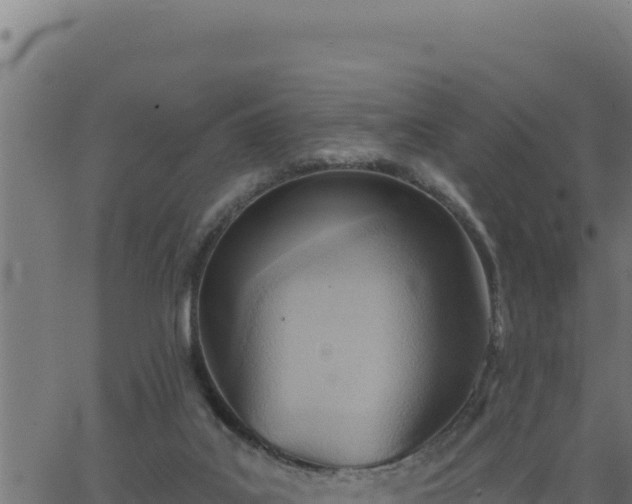 X0000062890019200601171525