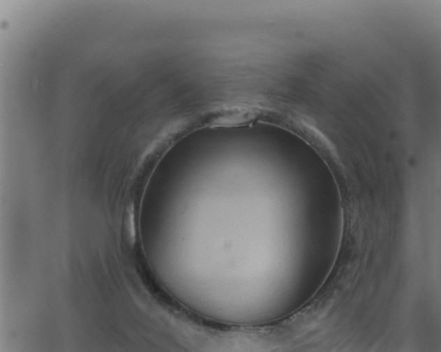 X0000062890020200601171525