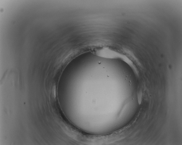 X0000062890021200601171525