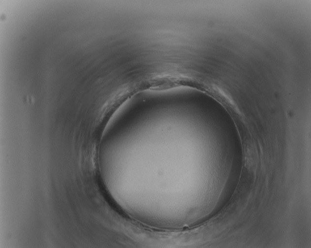 X0000062890023200601171525