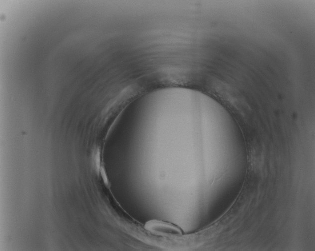 X0000062890027200601171525