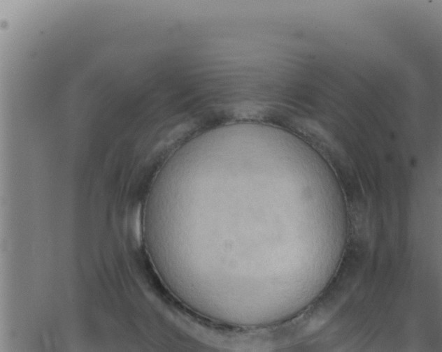 X0000062890028200601171525