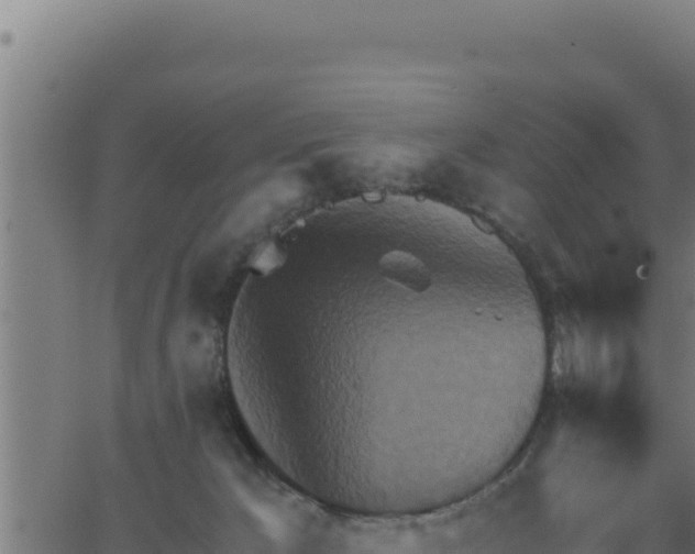 X0000062890029200601171525