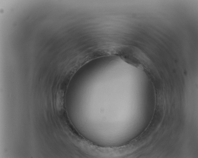 X0000062890030200601171525