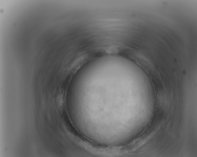 X0000062890032200601171525