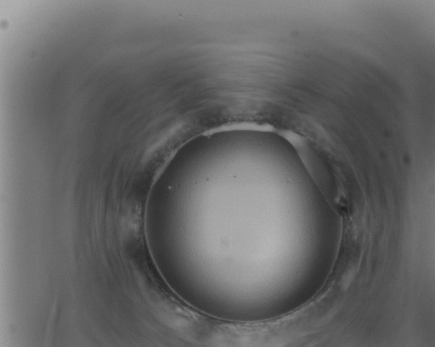 X0000062890033200601171525