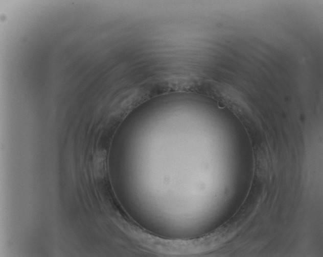 X0000062890034200601171525