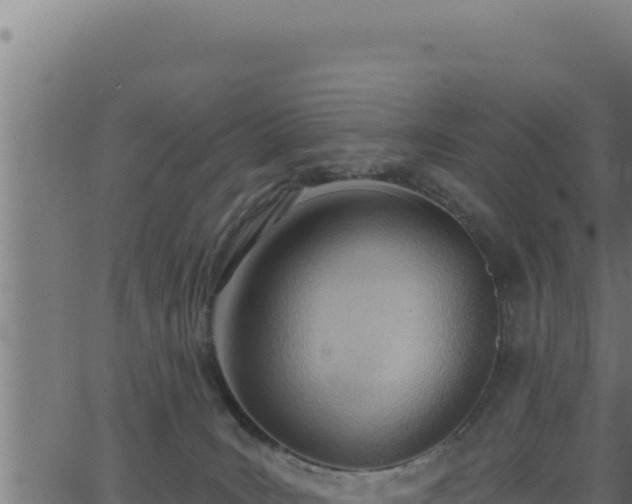 X0000062890035200601171525