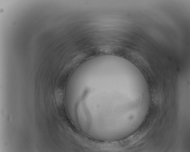 X0000062890036200601171525