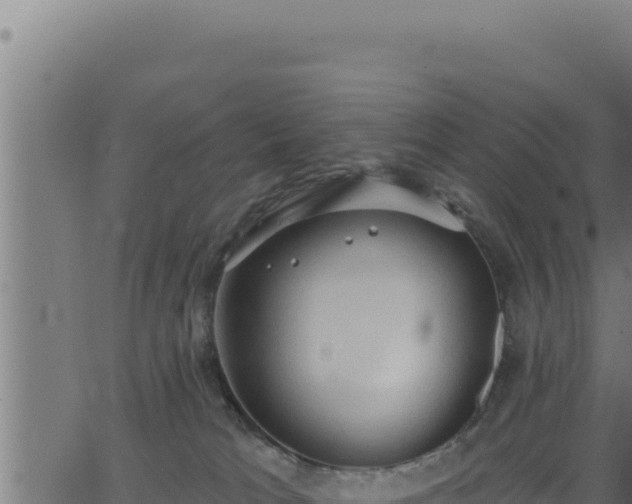 X0000062890037200601171525