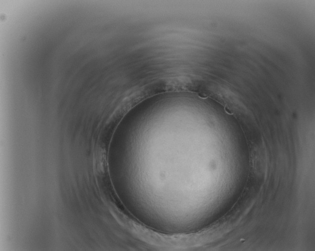 X0000062890038200601171525