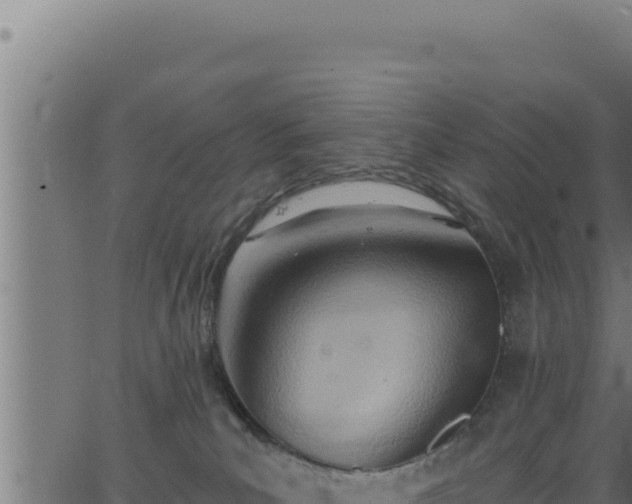 X0000062890039200601171525