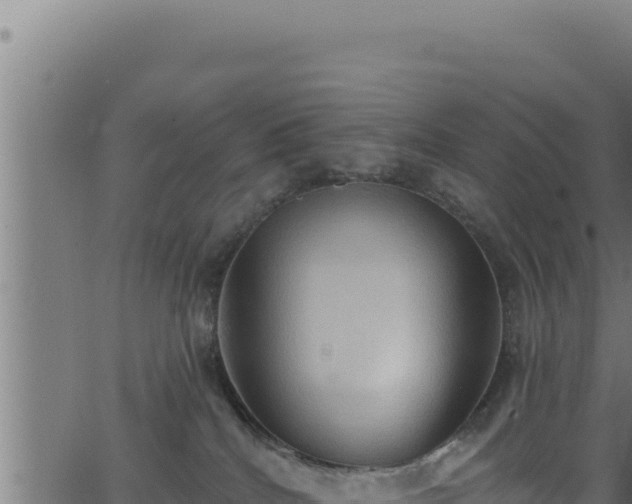 X0000062890040200601171525