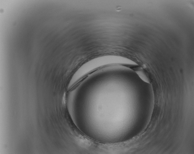 X0000062890041200601171525