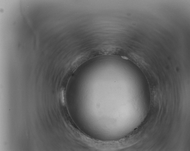 X0000062890042200601171525