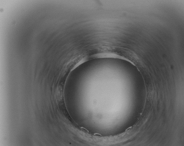 X0000062890043200601171525