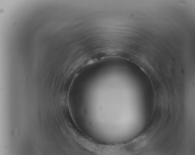 X0000062890044200601171525