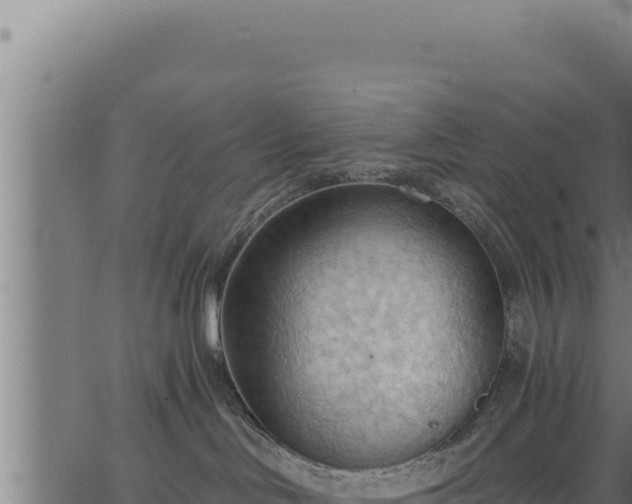 X0000062890046200601171525