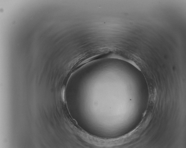 X0000062890047200601171525