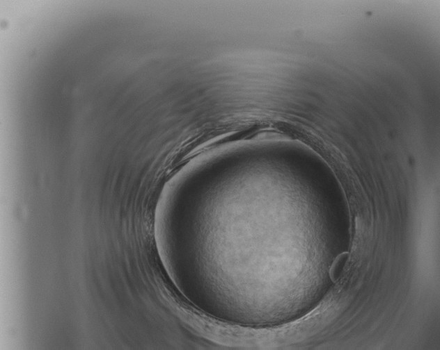 X0000062890048200601171525