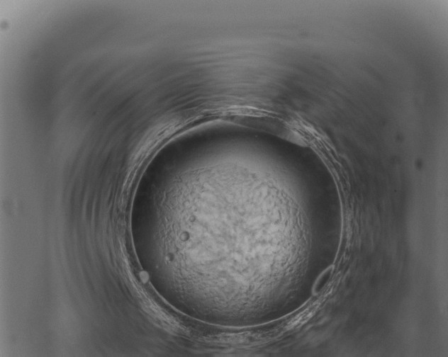 X0000062890049200601171524