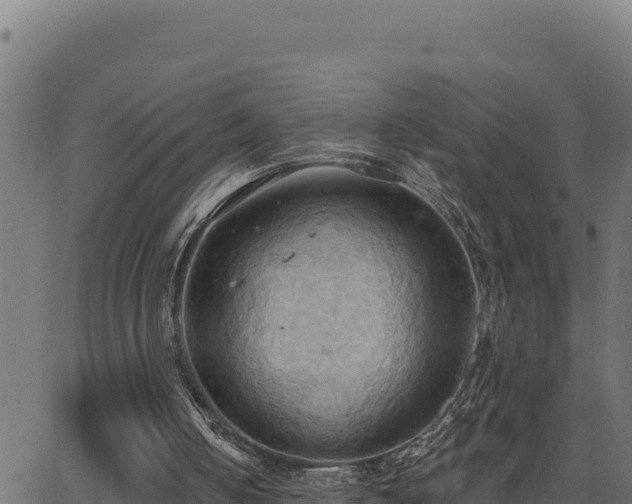 X0000062890050200601171524