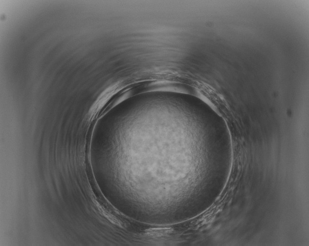 X0000062890051200601171524