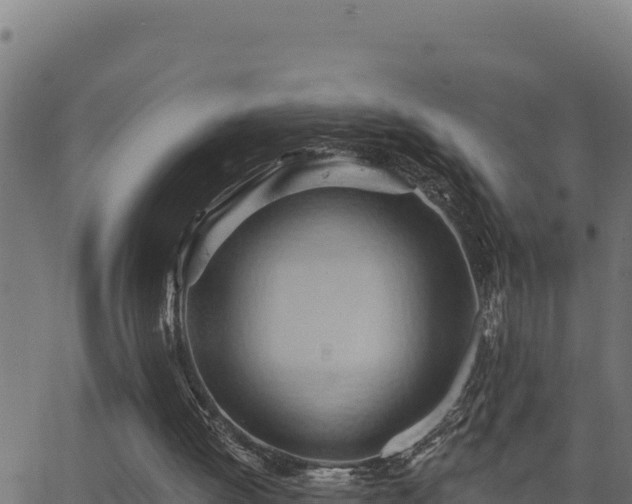 X0000062890052200601171524