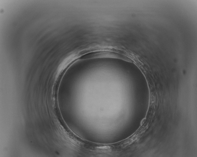 X0000062890053200601171524