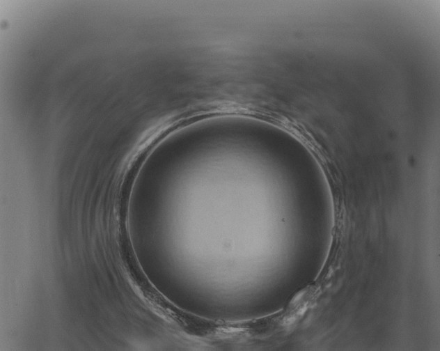 X0000062890055200601171524