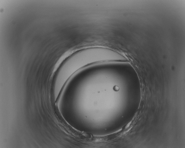 X0000062890056200601171524