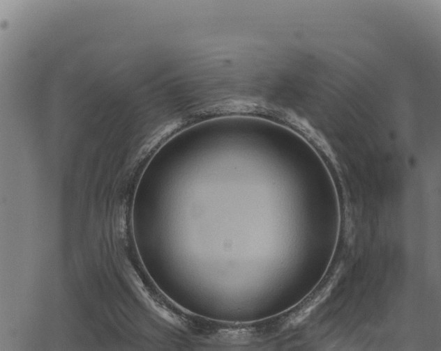 X0000062890057200601171524