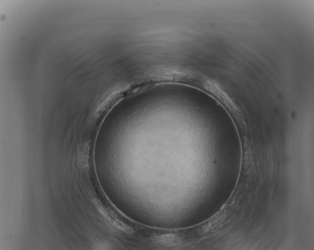 X0000062890058200601171524