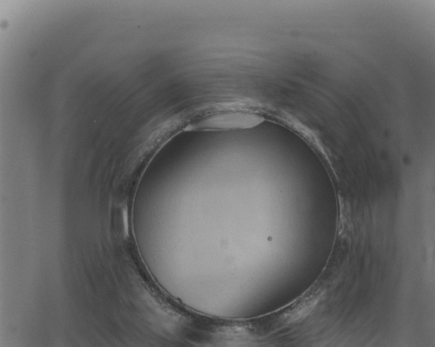 X0000062890061200601171524