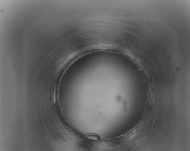 X0000062890062200601171524