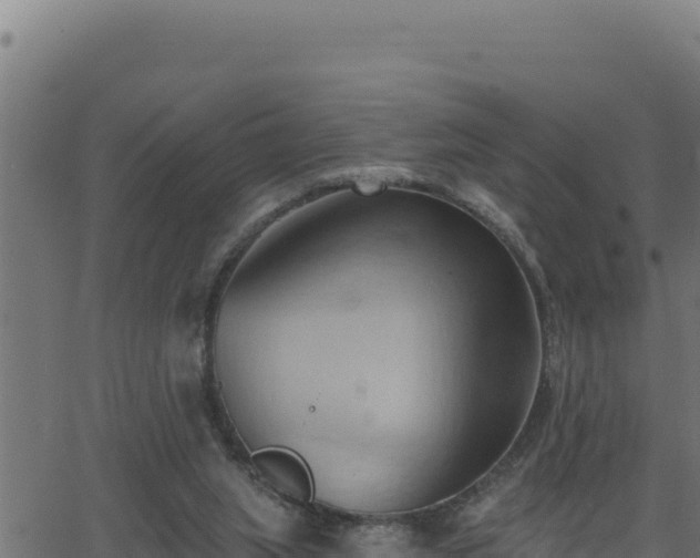 X0000062890063200601171524