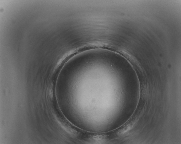 X0000062890064200601171524