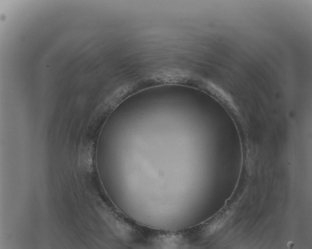 X0000062890065200601171524