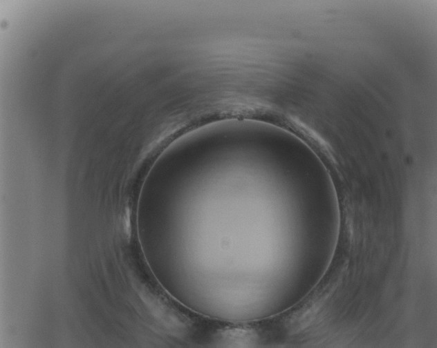 X0000062890067200601171524