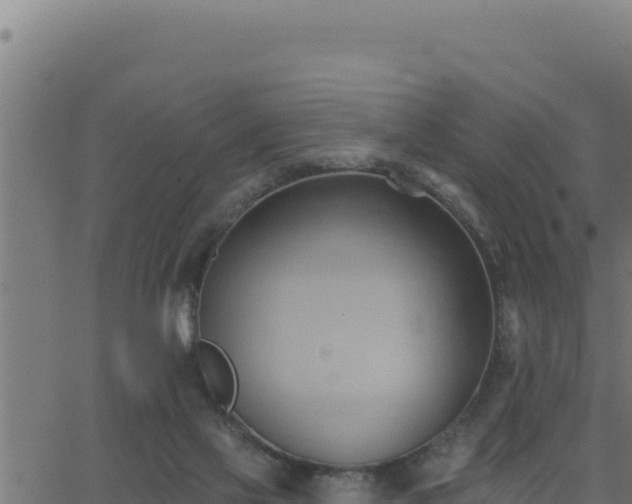 X0000062890069200601171524