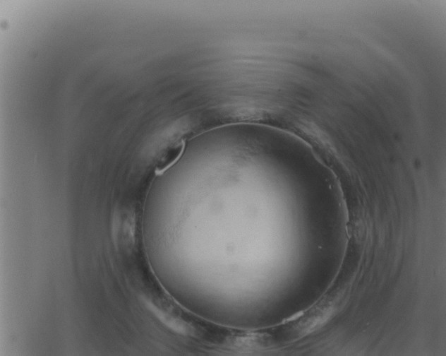 X0000062890072200601171524