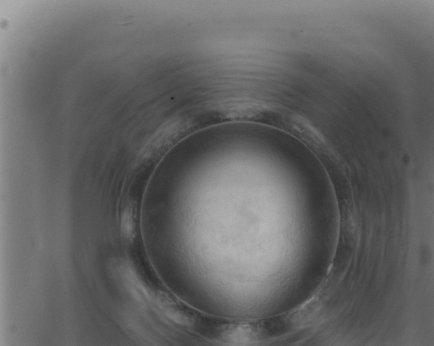 X0000062890074200601171524