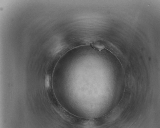 X0000062890075200601171524