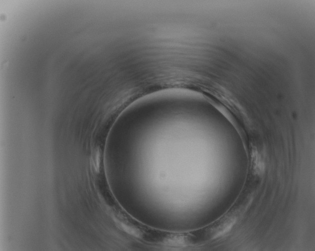 X0000062890076200601171524